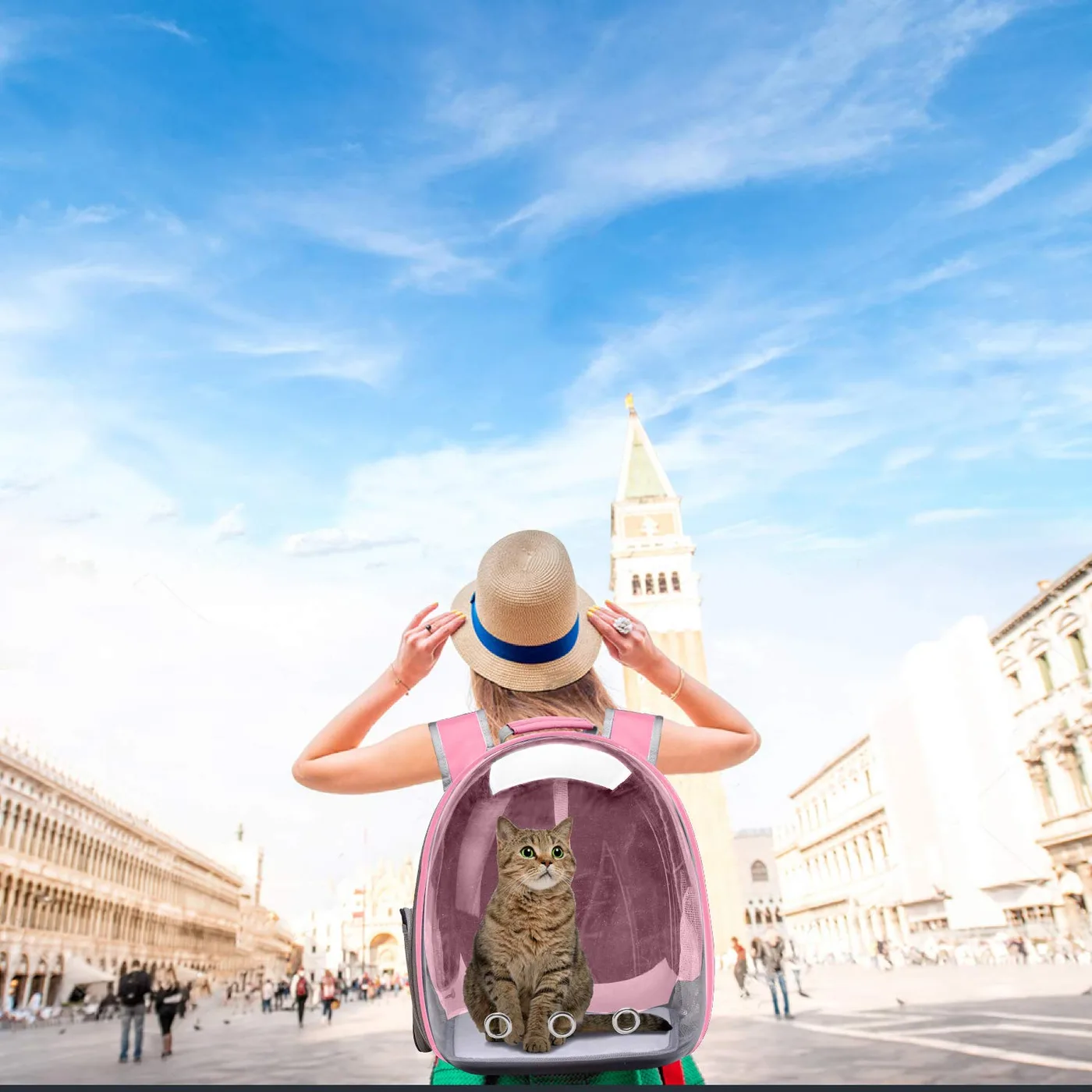 Cat Carrier with ID Tag: Identification Guide - detail view supplied by QUANZHOU JUNYUAN BAGS