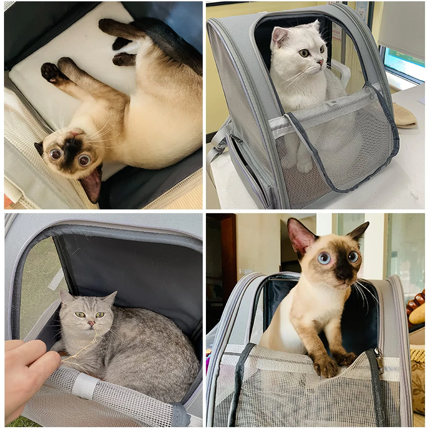 Dog Carrier Backpack with Wheels: Manufacturing Proc - detail view supplied by QUANZHOU JUNYUAN BAGS